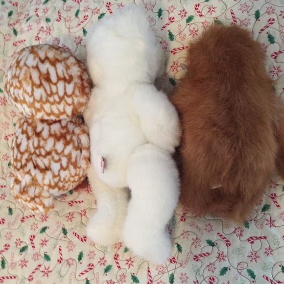 TY Swoops, Tango & Romeo - Picture 6 of 9